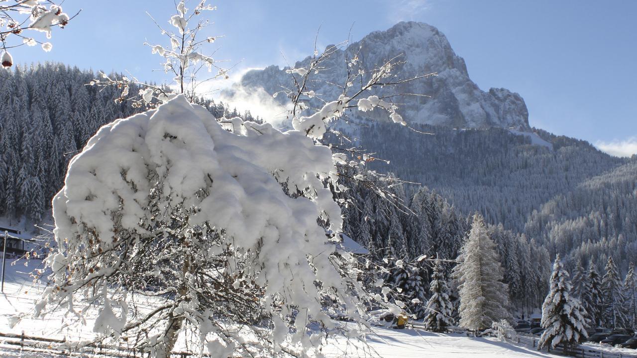 Garni Hotel Rosengarten B&B Selva di Val Gardena Ngoại thất bức ảnh